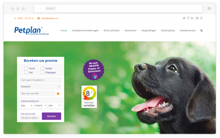 Petplan website